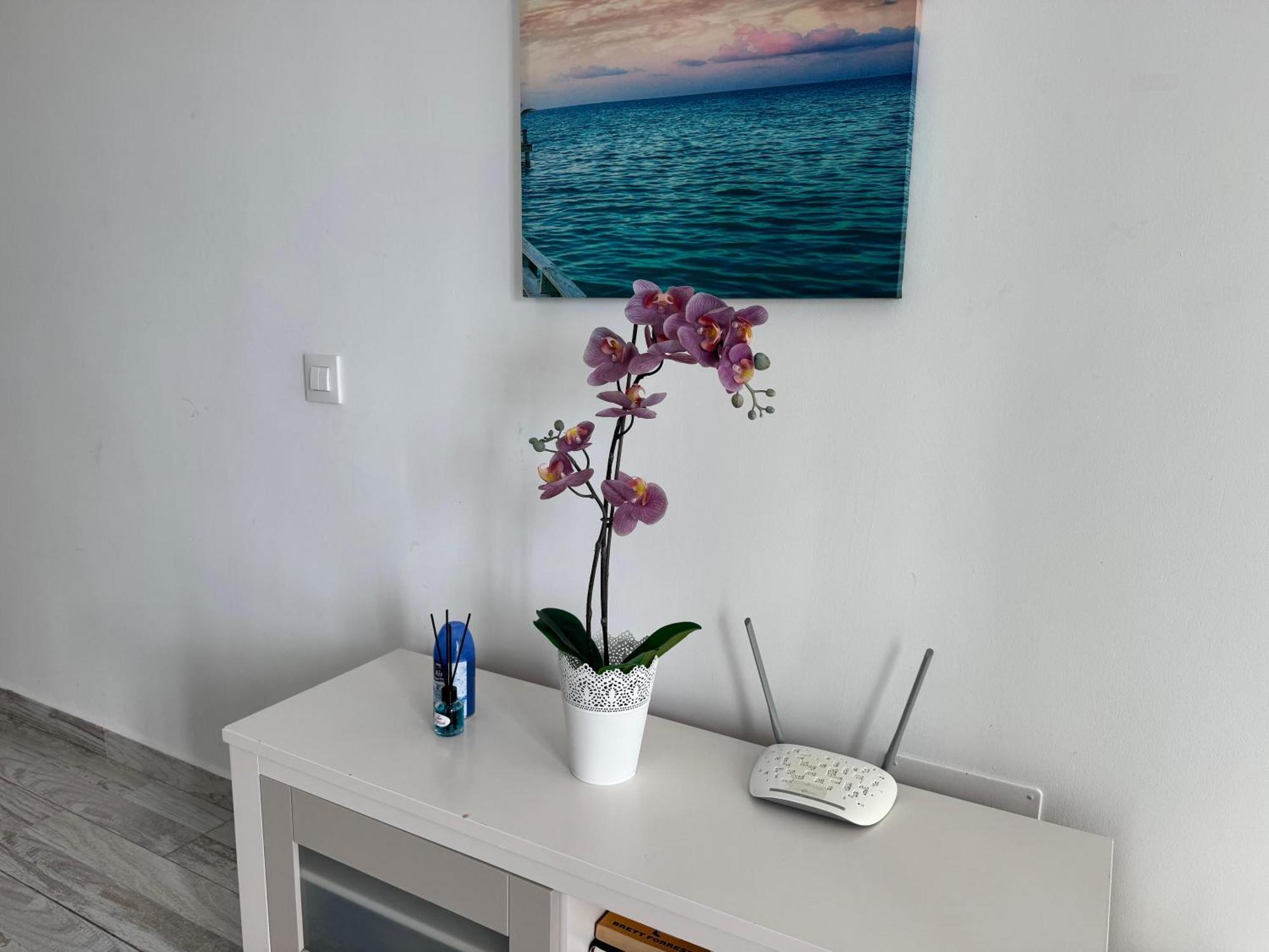 Stunning Apartments With Pool Tenerife アデヘ エクステリア 写真